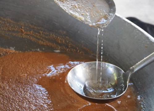 ココナッツオイル作り体験